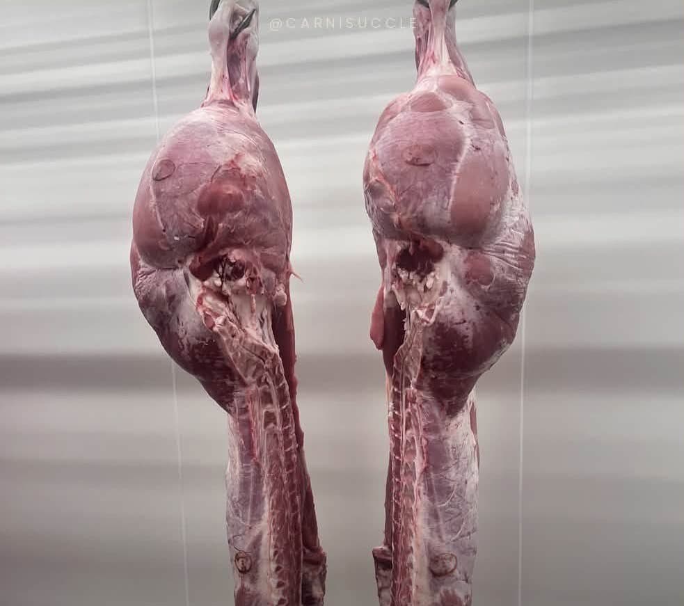 Deux quartiers de viande suspendus côte à côte en chambre froide